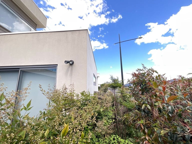 Modern white building with window and surrounding vegetation under blue sky with clouds