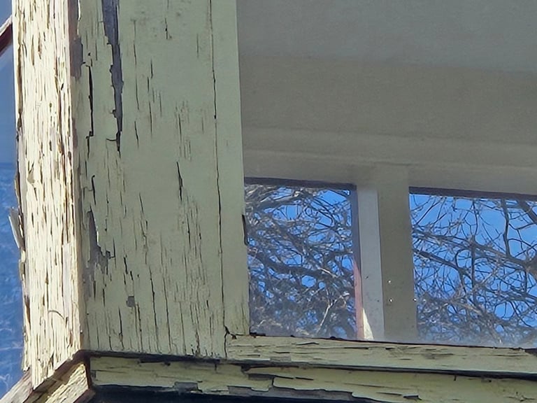 Weathered wooden door and windows showing bare tree branches through glass against blue sky