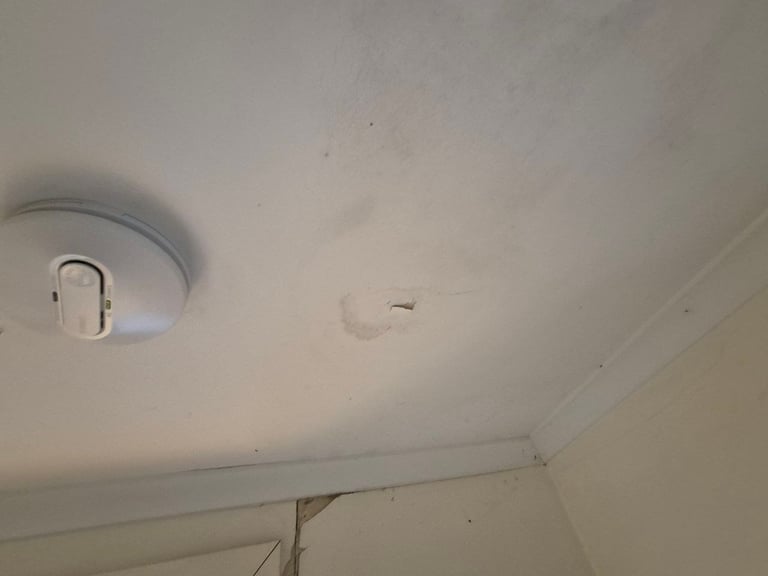 White ceiling with recessed light fixture and smoke detector mounted on white drywall